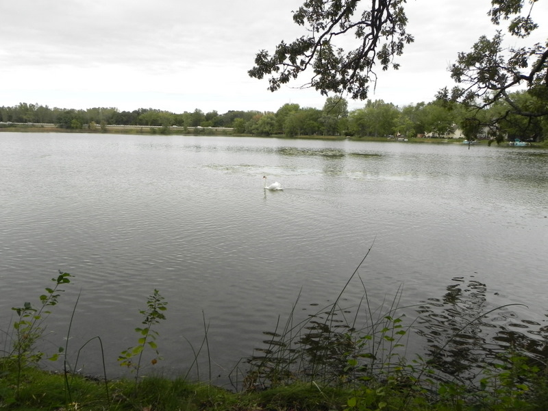 Woodruff Lake Brighton Michigan